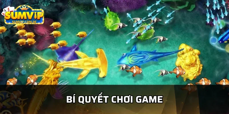 Đọc vị bí quyết săn rồng vàng sumvip chuẩn nhất