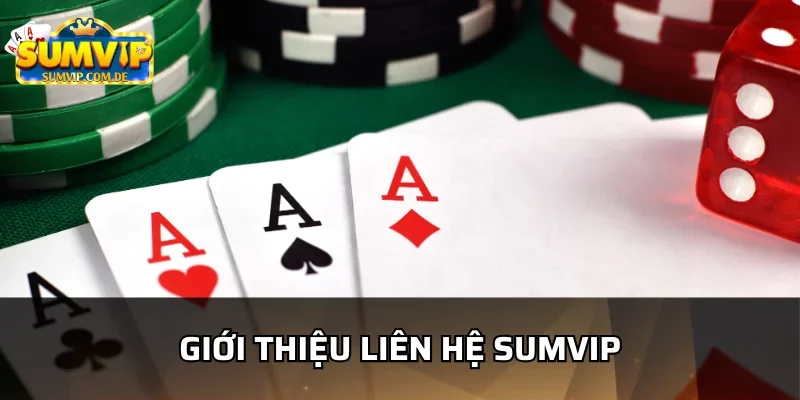 Tìm hiểu khái niệm về liên hệ sumvip